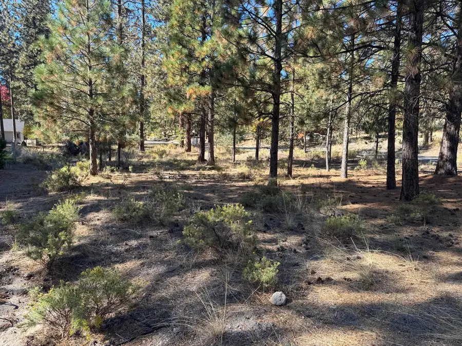 Unit 5-3 Lot 46 Brown Ct, Weed, CA 96094 - Image #3