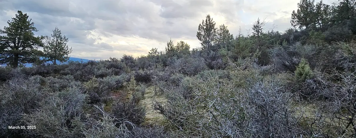 Lots 137 & 138 Tree Lane, Hornbrook, CA 96044 - Image #1