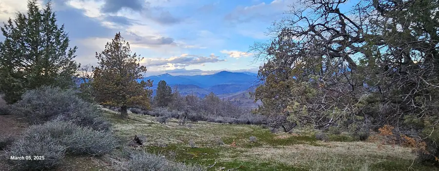 Lots 137 & 138 Tree Lane, Hornbrook, CA 96044 - Image #2