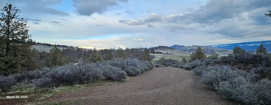 Lots 137 & 138 Tree Lane, Hornbrook, CA 96044 - Image #3