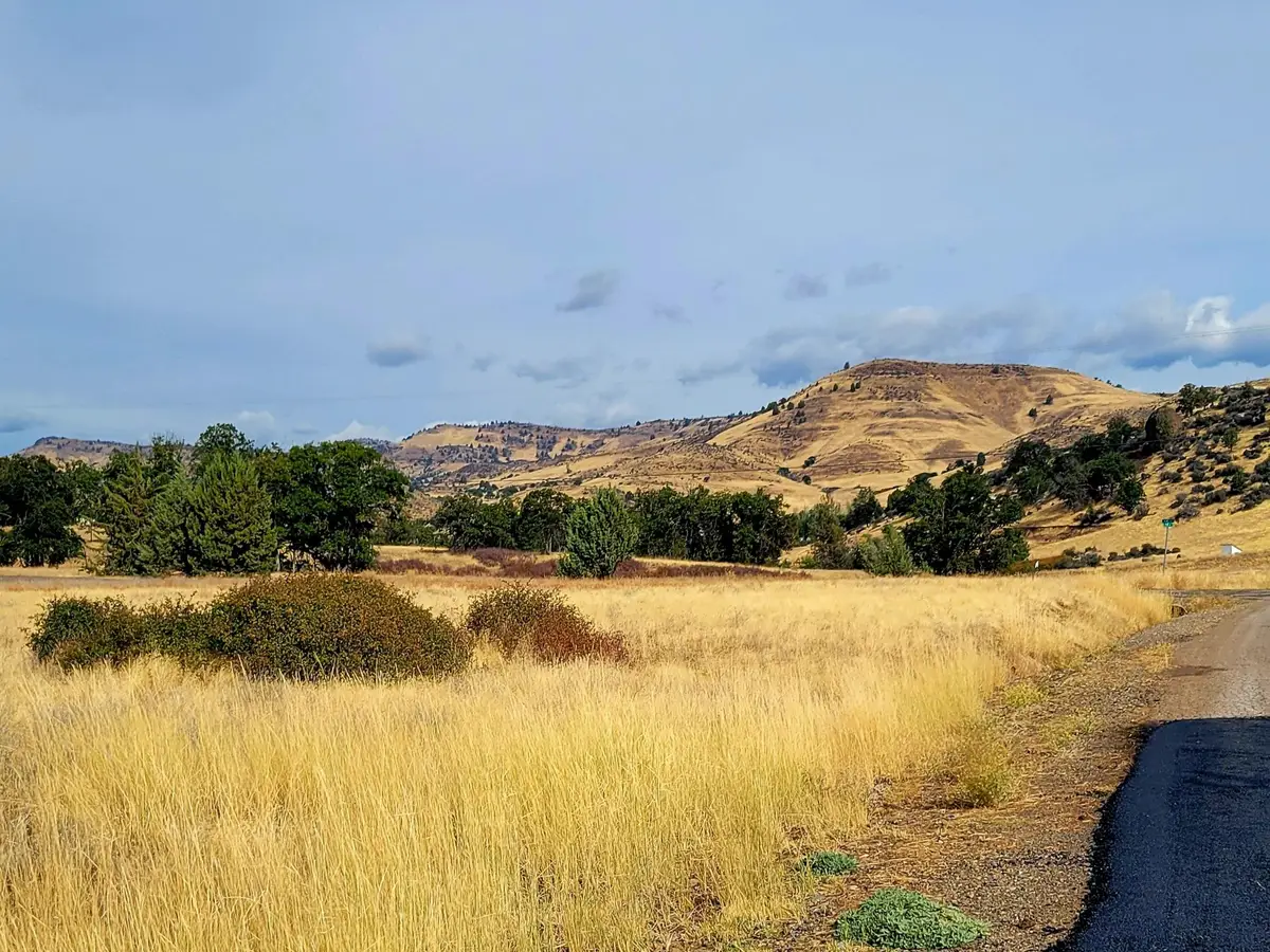 Lot 155 Fir Court, Hornbrook, CA 96097 - Image #1