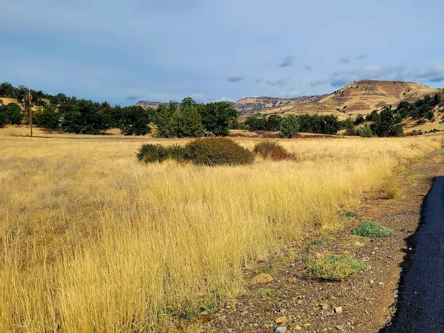 Lot 155 Fir Court, Hornbrook, CA 96097 - Image #2