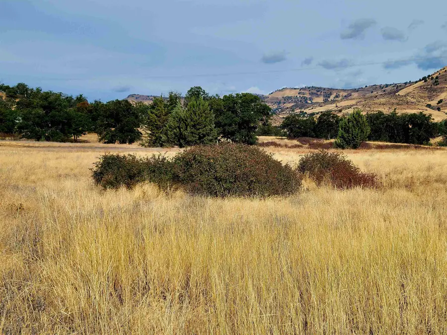 Lot 155 Fir Court, Hornbrook, CA 96097 - Image #3