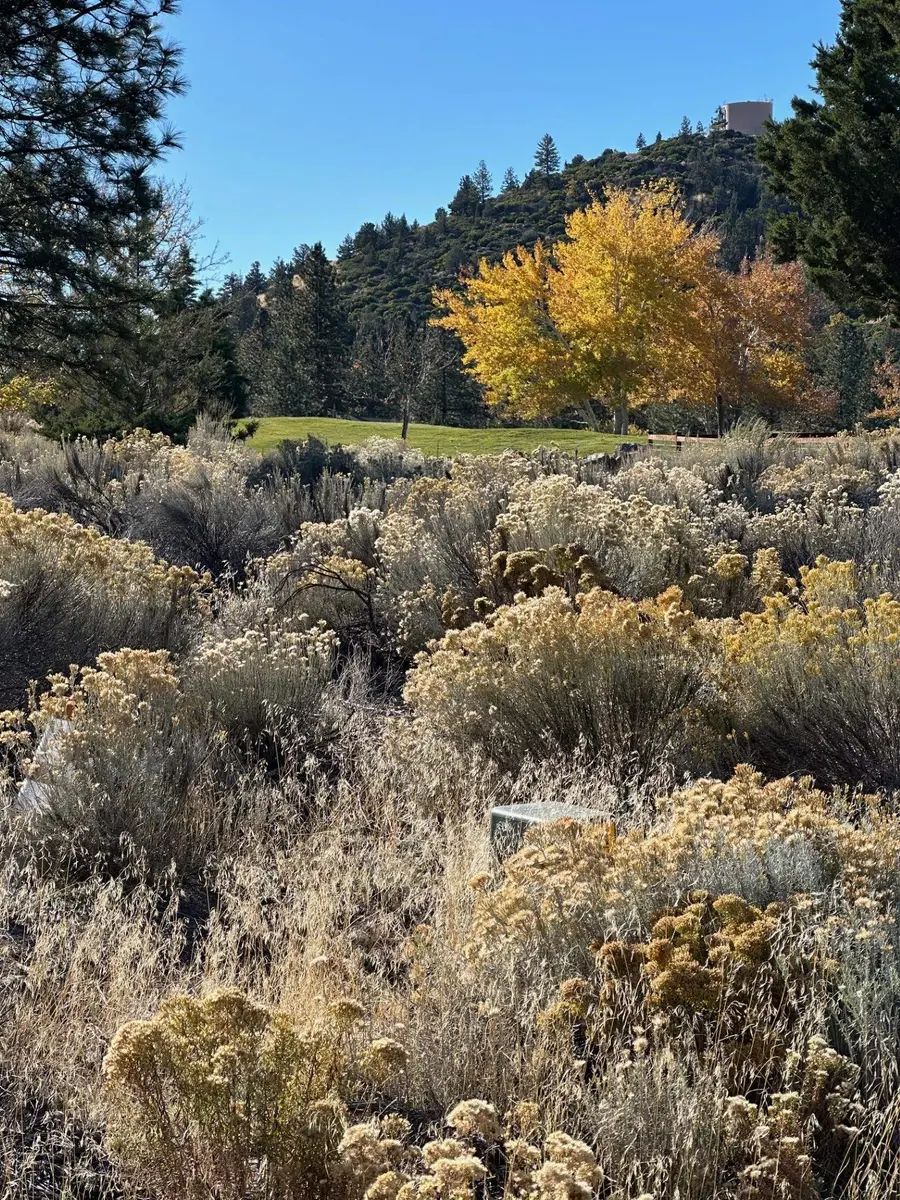 16808 Middlecoff Court, Weed, CA 96094 - Image #2