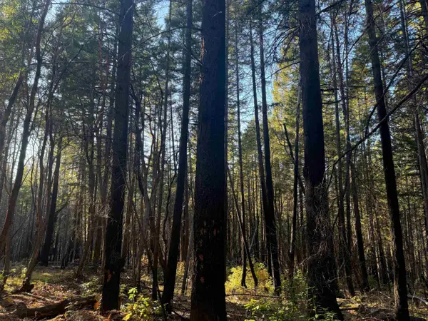 5 Acres Cade Mountain 19N01 forest road, Happy Camp, CA 96039