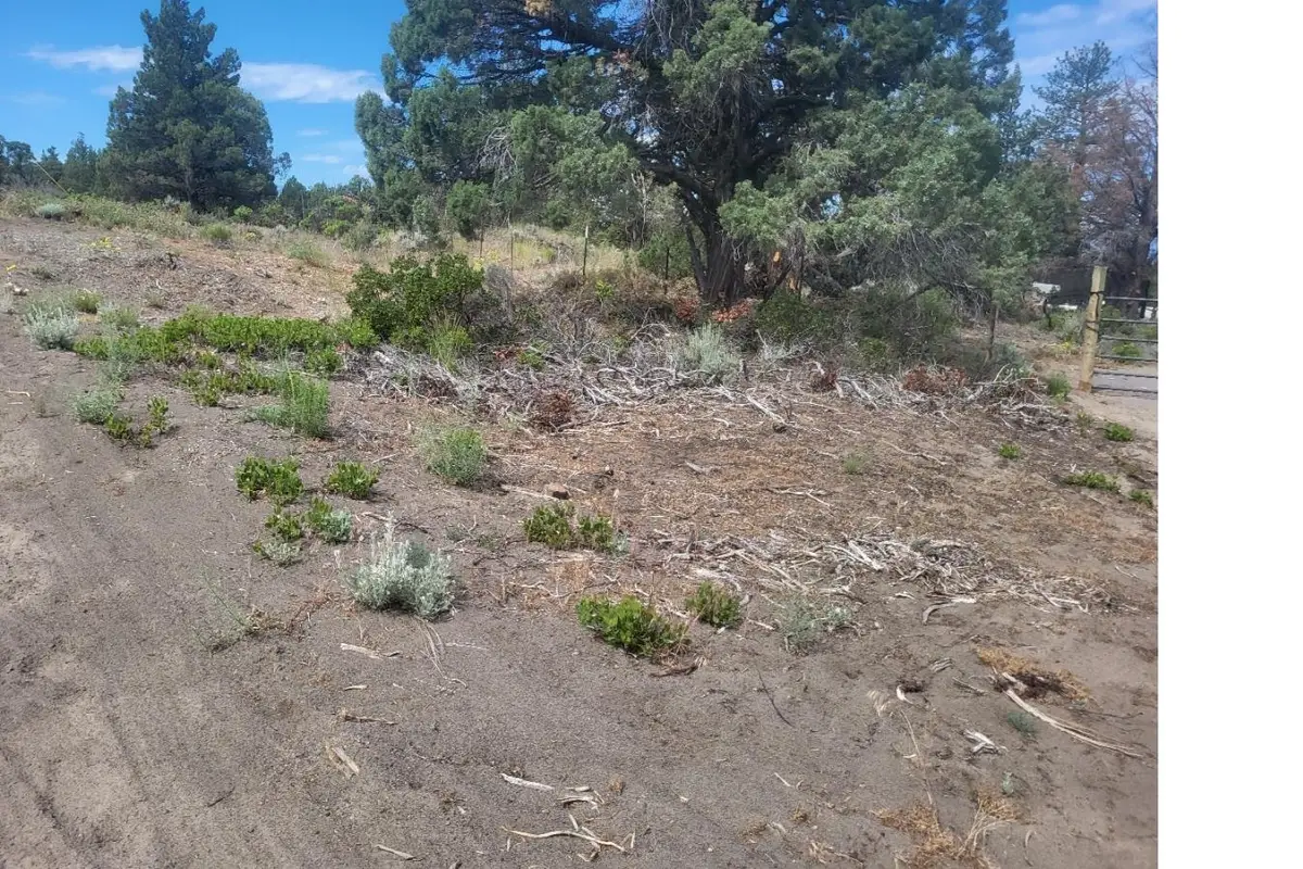 Lot 6 Nemeth Dr, Montague, CA 96064 - #1