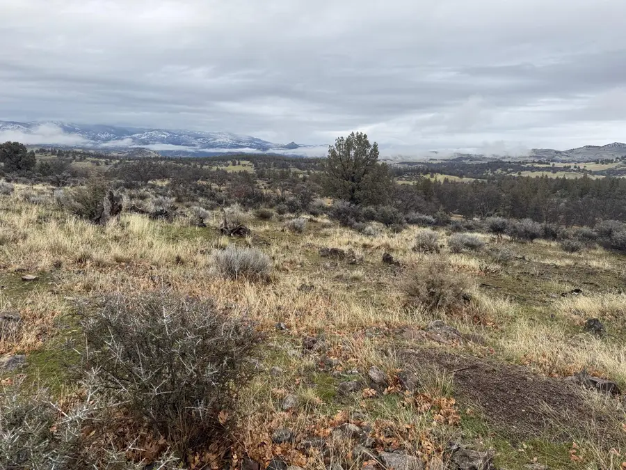 Unit 4 Lot 133 Desavado, Montague, CA 96064 - Image #2