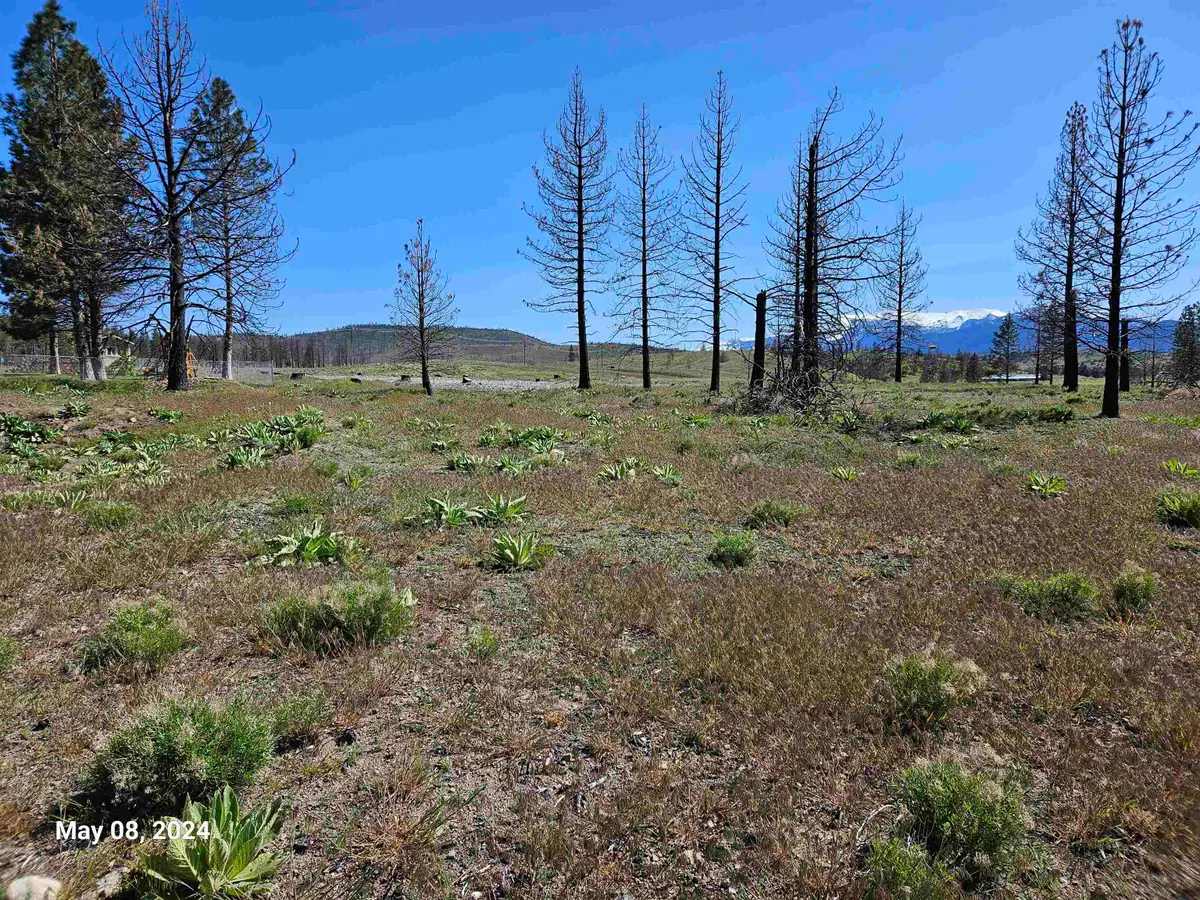 Lot 116 Buffalo, Weed, CA 96094 - Image #1