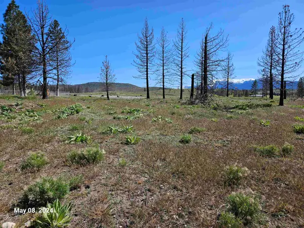 Lot 116 Buffalo, Weed, CA 96094