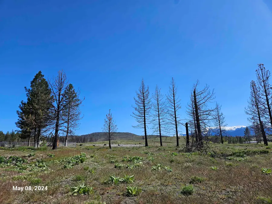 Lot 116 Buffalo, Weed, CA 96094 - Image #2