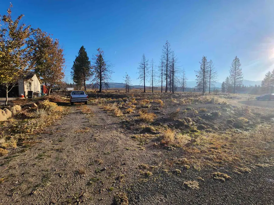 Lot 116 Buffalo, Weed, CA 96094 - Image #3