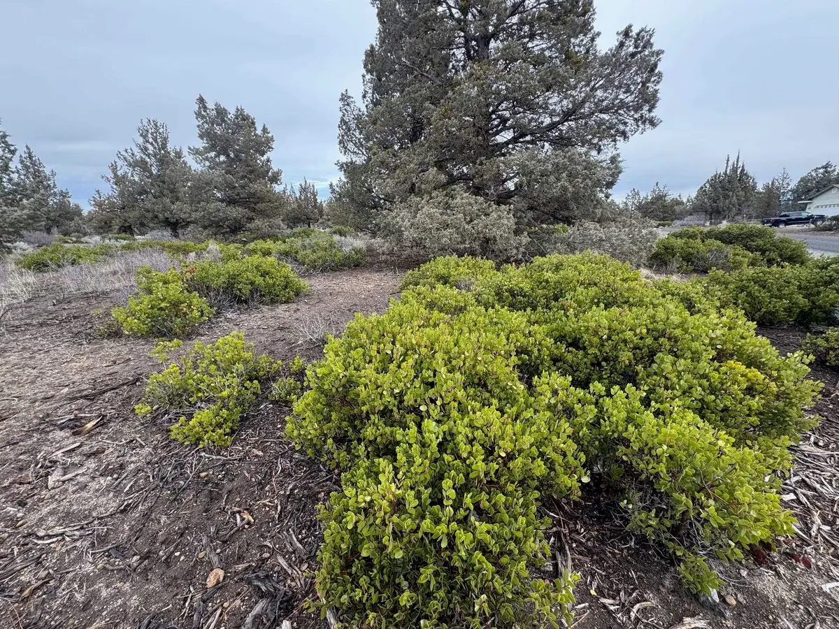 Unt 8-1 Lot 162 Woodside Road, Weed, CA 96094 - Image #1