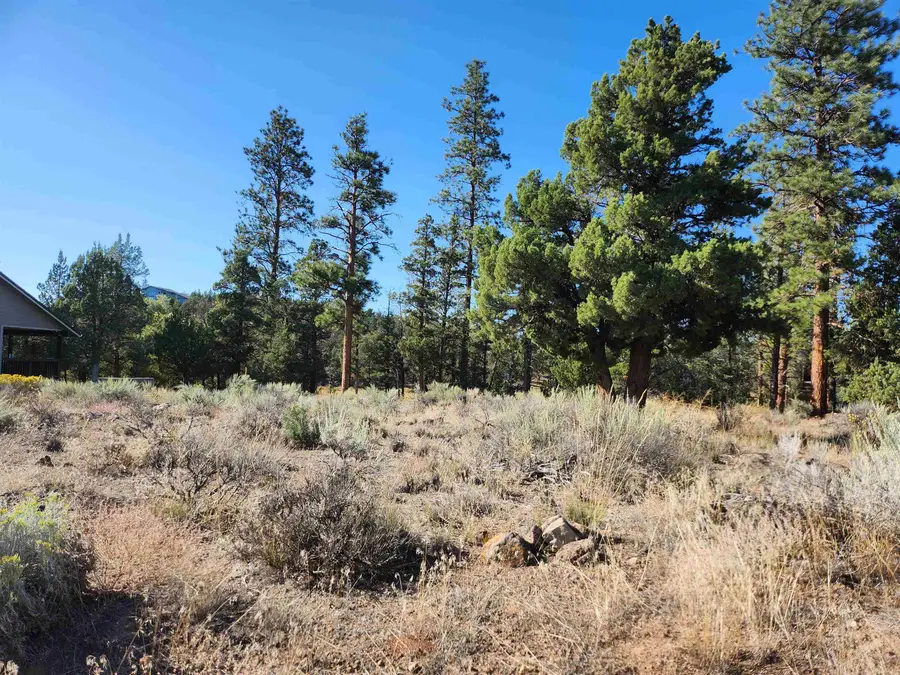 Lot 273 Riverside Drive, Weed, CA 96094 - Image #2