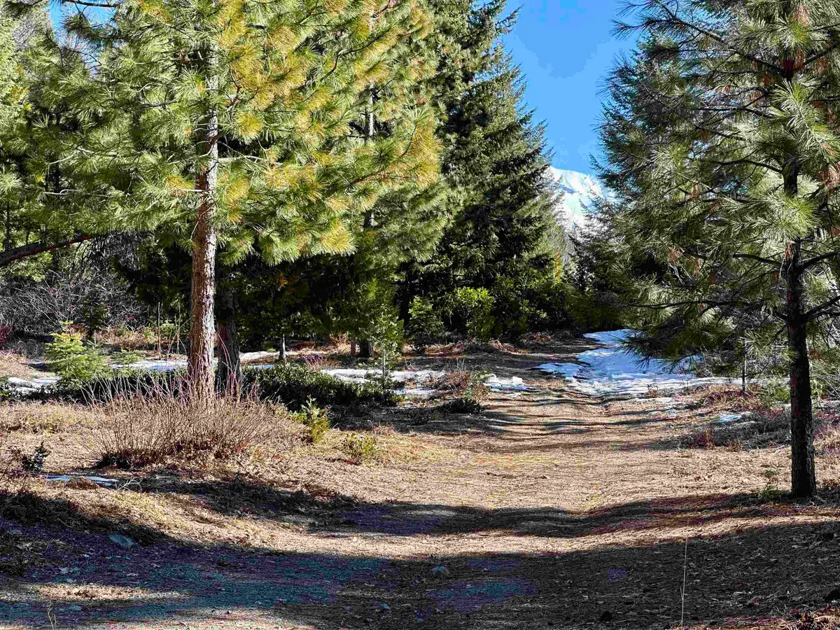 parcel 3 Deetz Road, Mount Shasta, CA 96067 - Image #1
