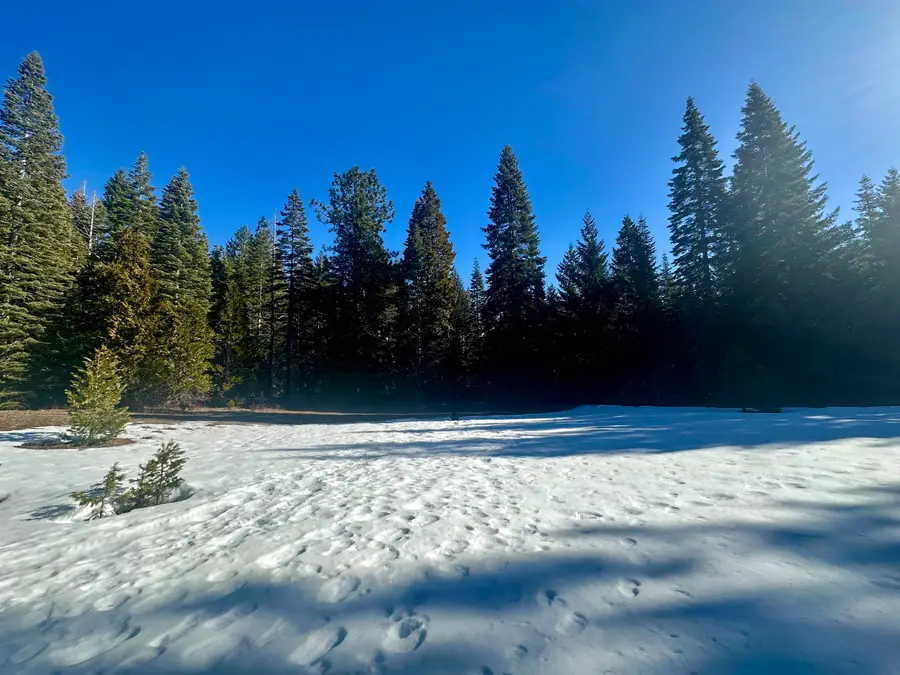 parcel 3 Deetz Road, Mount Shasta, CA 96067 - Image #3