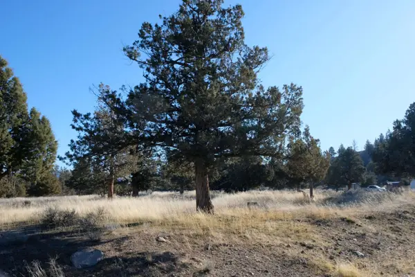 Lot 218 Mountain Wood Dr, Weed, CA 96094