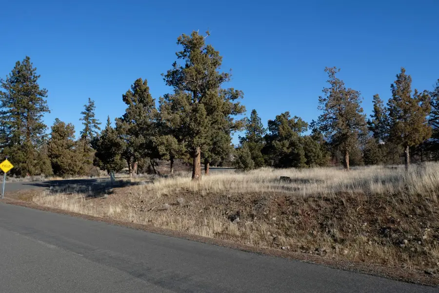 Lot 218 Mountain Wood Dr, Weed, CA 96094 - Image #2