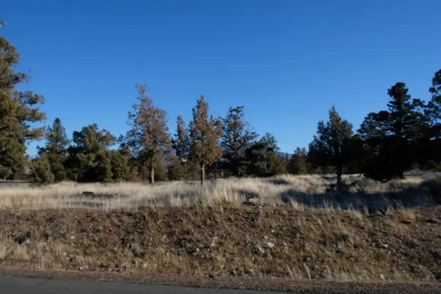 Lot 218 Mountain Wood Dr, Weed, CA 96094 - Image #3