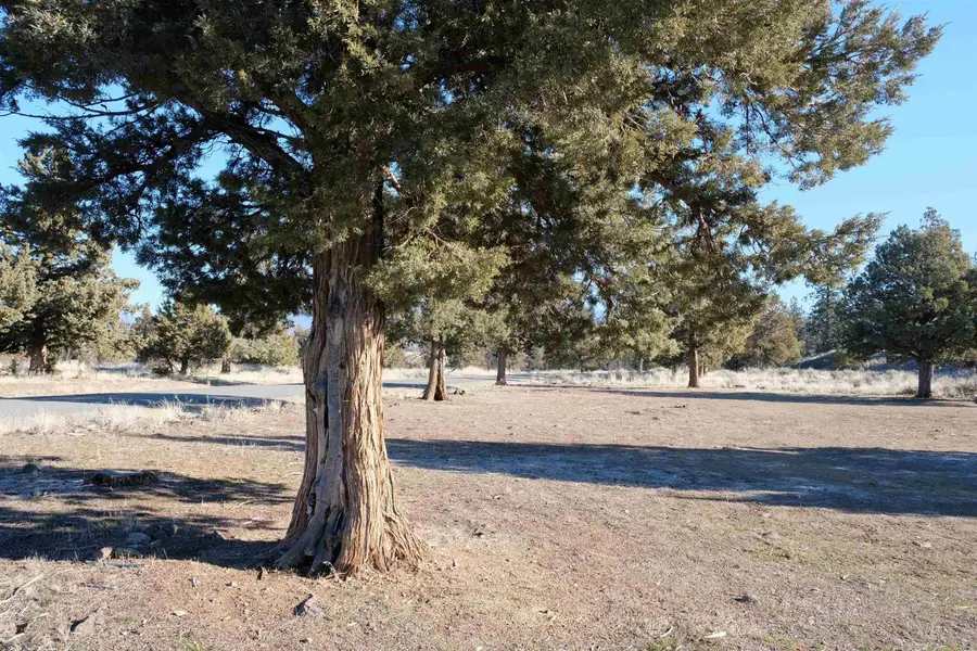 Lot 232 Brazos Court, Weed, CA 96094 - Image #3