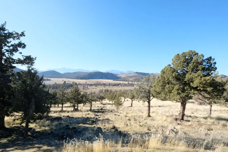 Lot 95 Wild Horse Drive, Weed, CA 96094 - Image #2