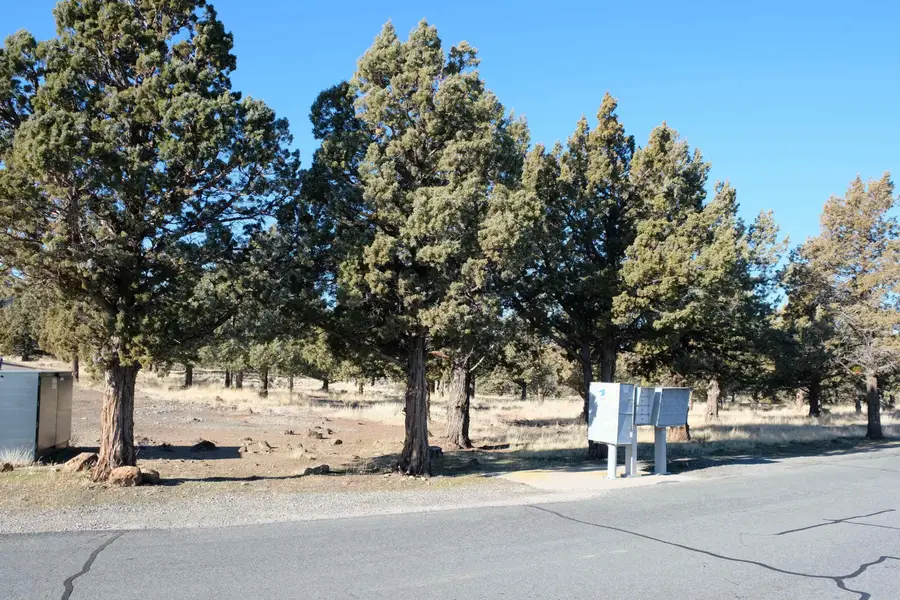 Lot 261 Mountain Wood Dr, Weed, CA 96094 - Image #2