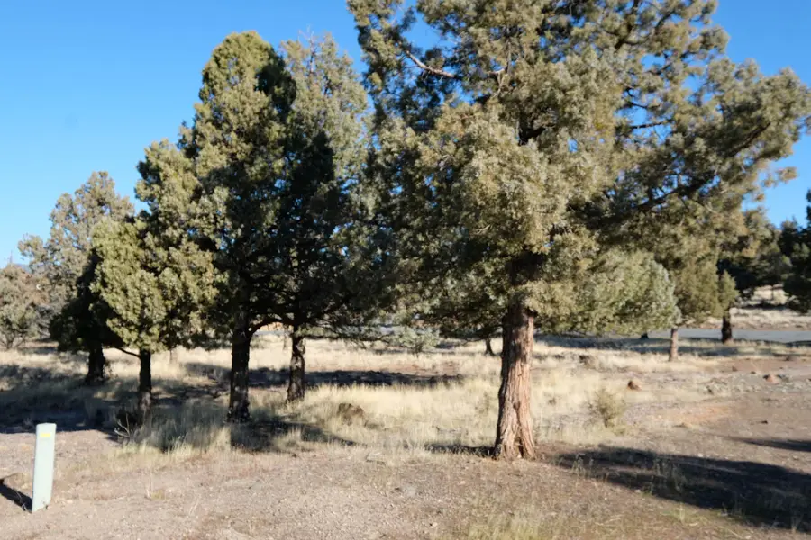 Lot 261 Mountain Wood Dr, Weed, CA 96094 - Image #3