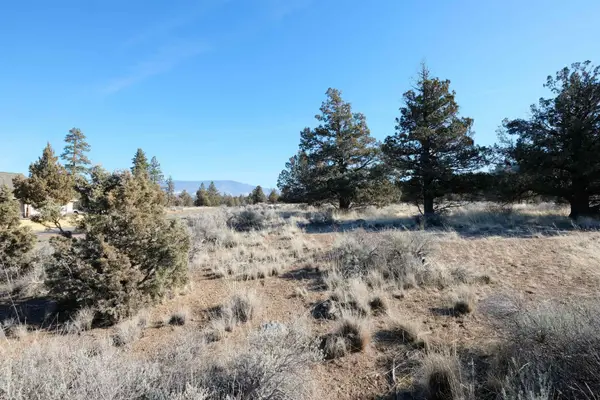 Lot 172 Riverside Drive, Weed, CA 96094