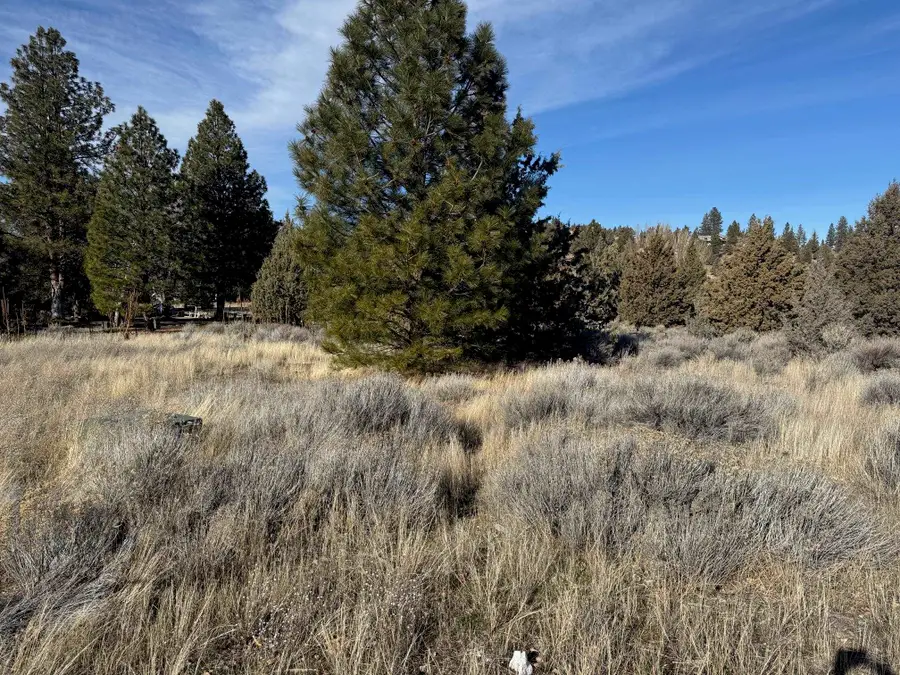 Unit 5 Lot 235 Sifford Court, Weed, CA 96094 - Image #3