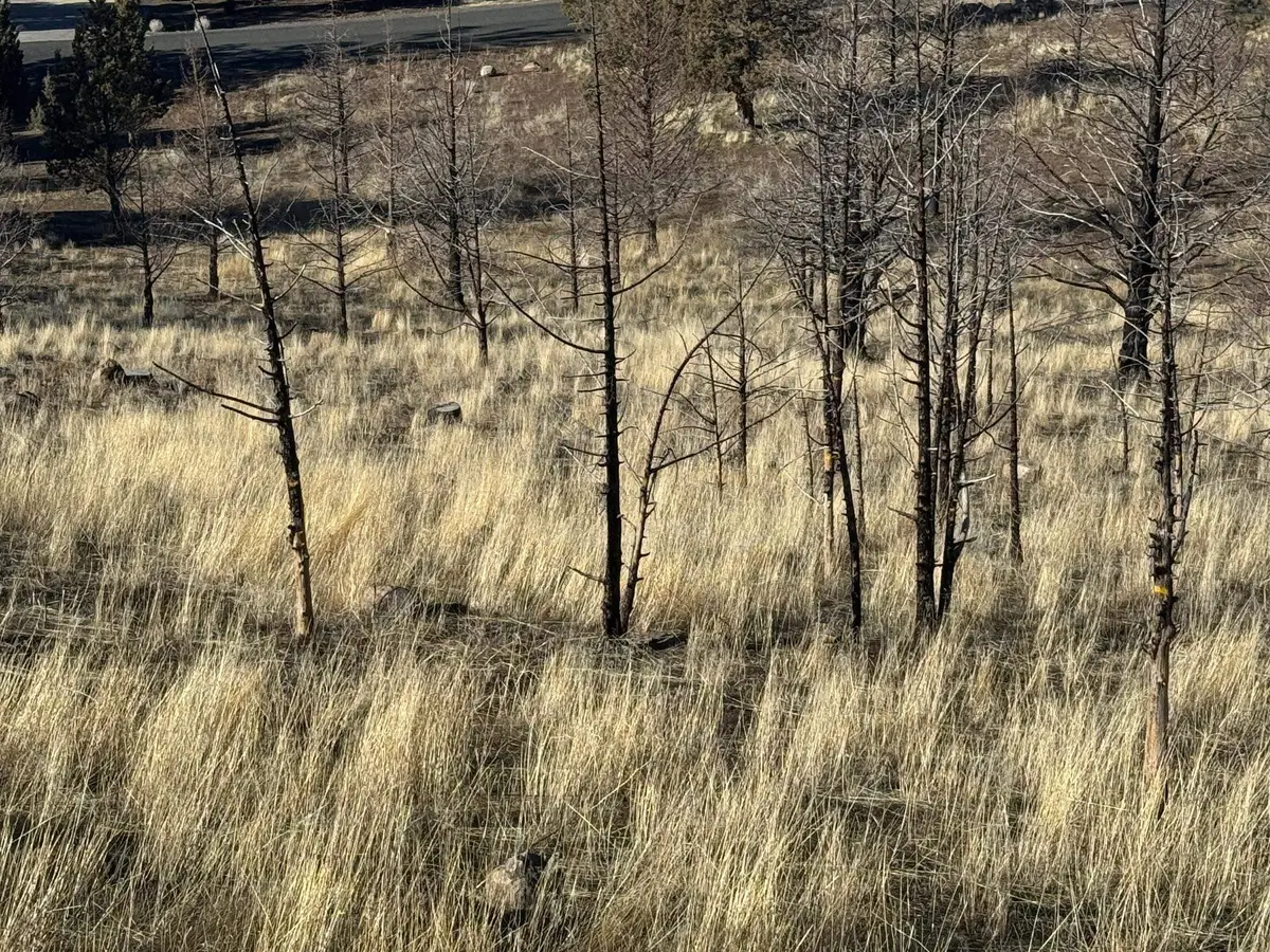 Unit 5-2 / 169 Hill Drive, Weed, CA 96094 - Image #1