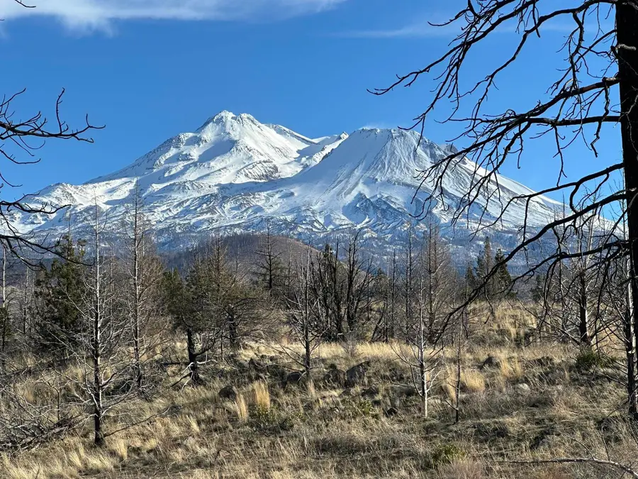 Blk 2 Lot 31 Quarry Road, Weed, CA 96094 - Image #2