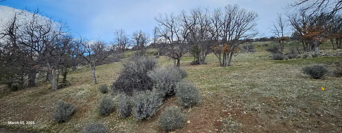 Lot 215 Rainbow, Hornbrook, CA 96044 - Image #1