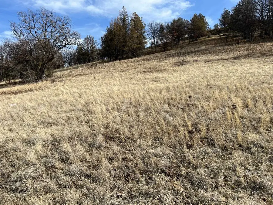 Unit 5 Lot 40 Desavado, Montague, CA 96064 - Image #2