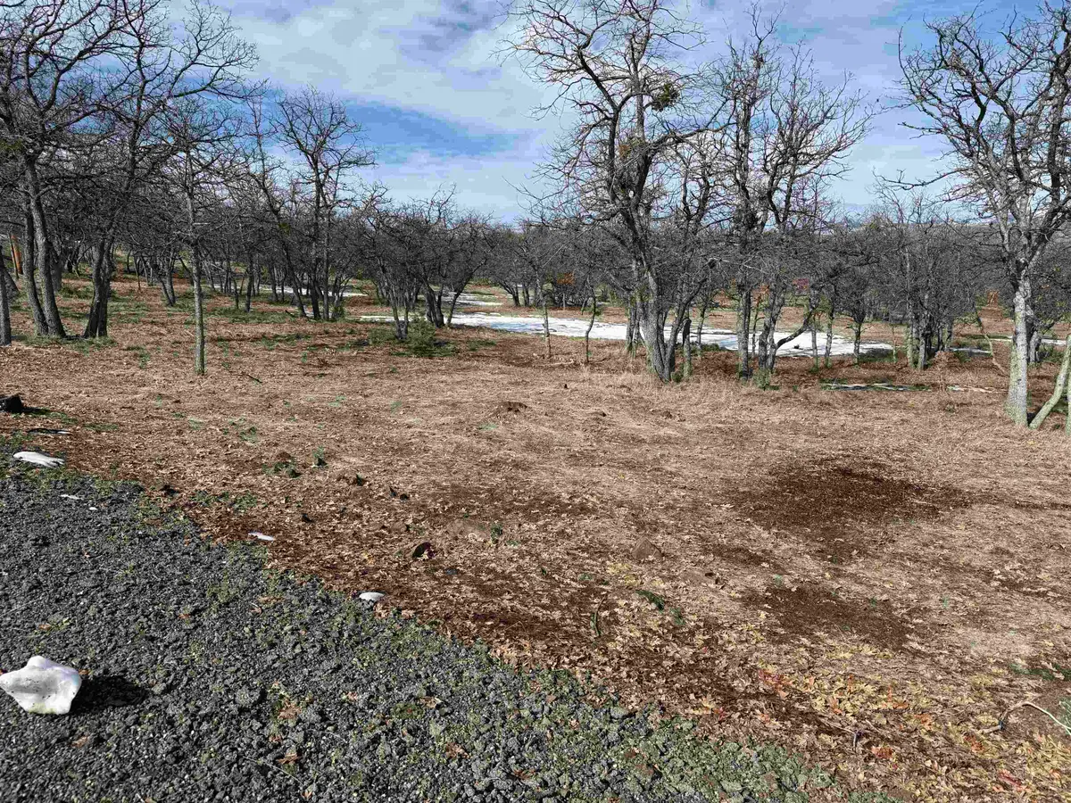 Lot 547 Milton Way, Hornbrook, CA 96044 - Image #1