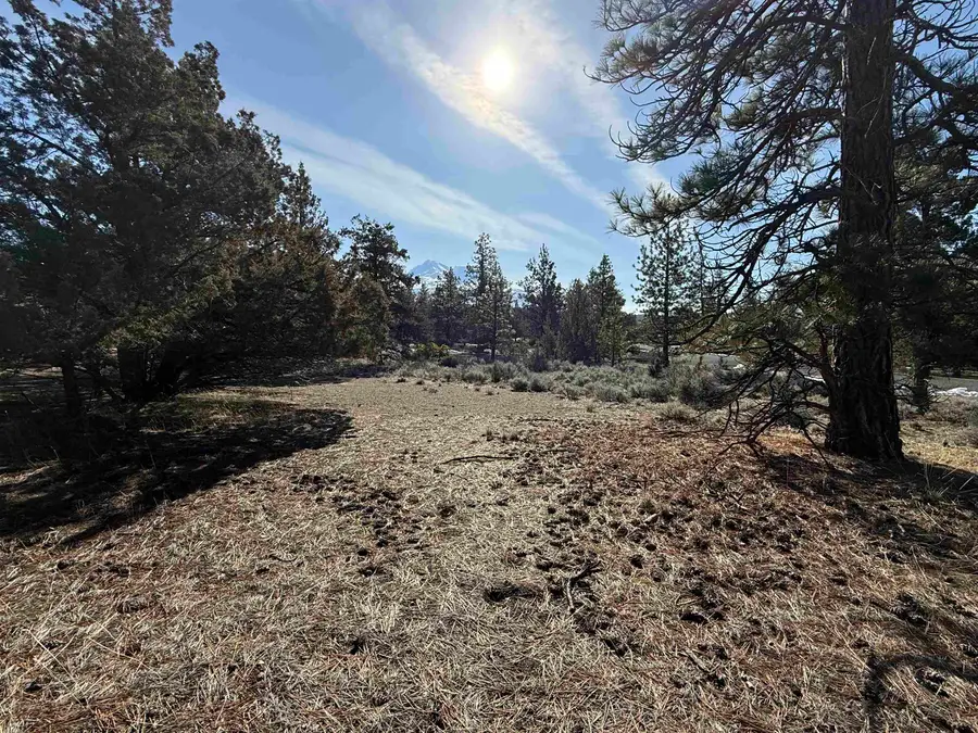 Lot 88 Deer Lane, Weed, CA 96094 - Image #2