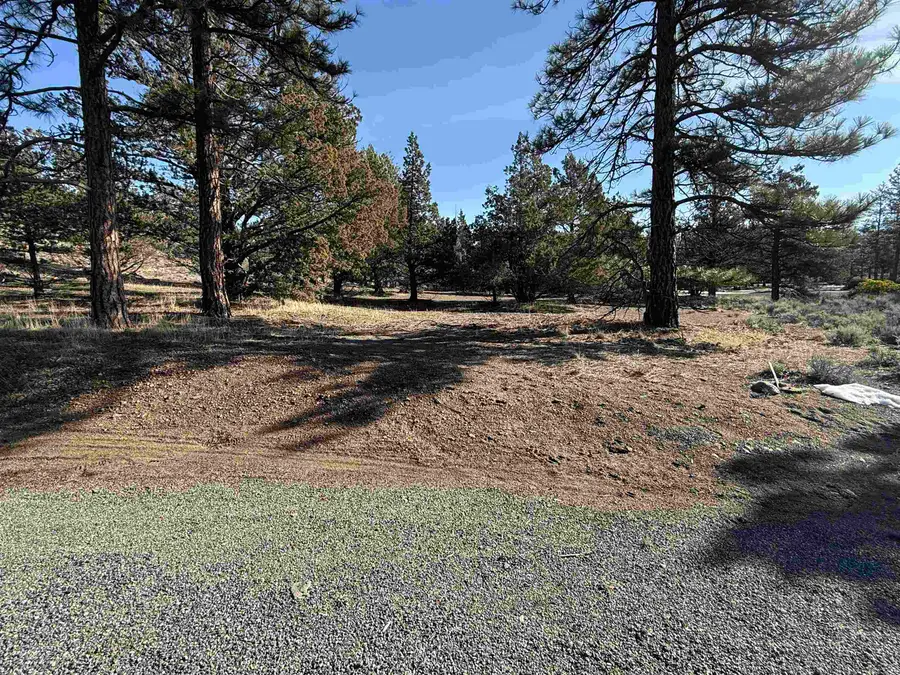 Lot 88 Deer Lane, Weed, CA 96094 - Image #3