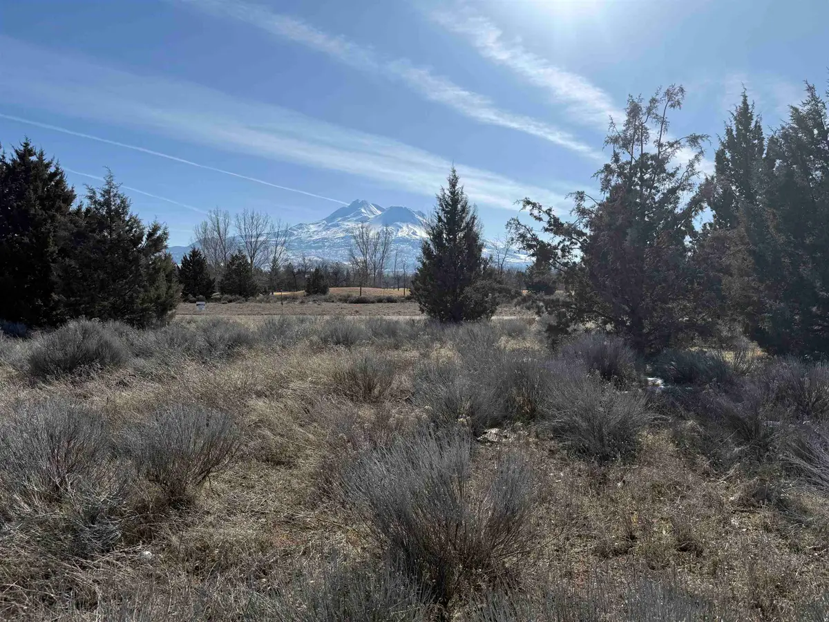 Lot 233 Sifford Ct, Weed, CA 96094 - Image #1