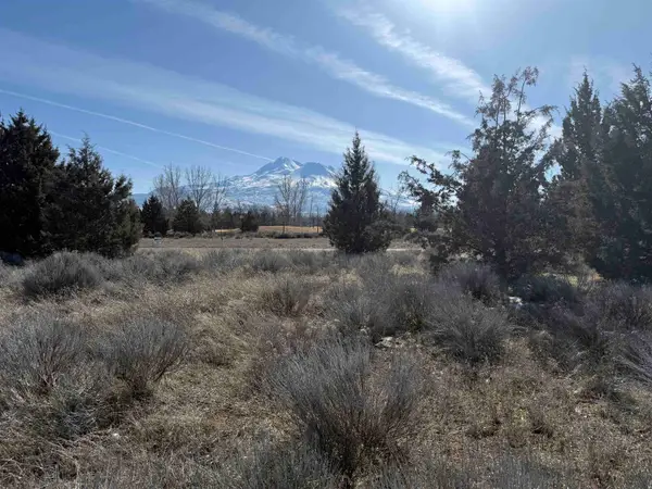 Lot 233 Sifford Ct, Weed, CA 96094