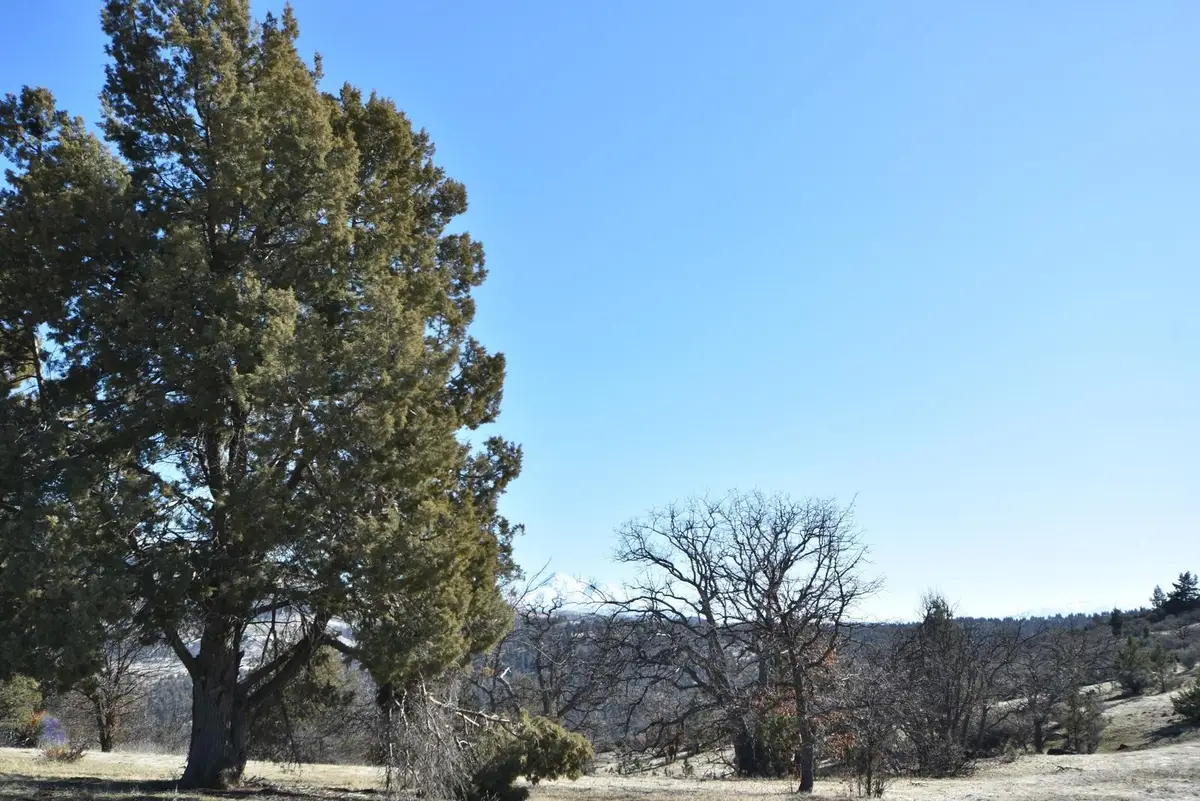 Lot 485 Erick Ln, Hornbrook, CA 96044 - Image #1