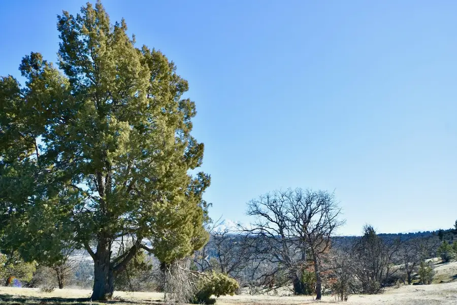 Lot 485 Erick Ln, Hornbrook, CA 96044 - Image #2