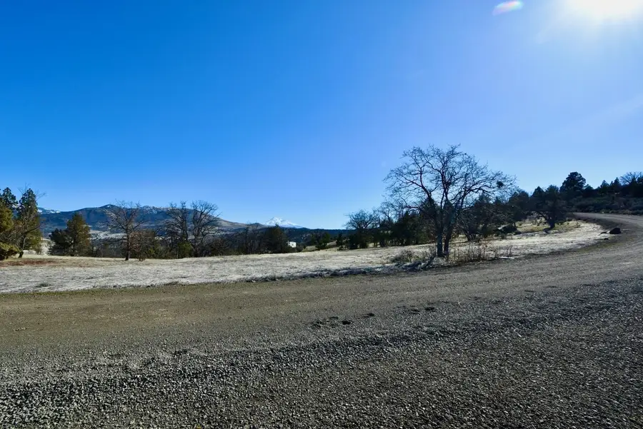 Lot 485 Erick Ln, Hornbrook, CA 96044 - Image #3