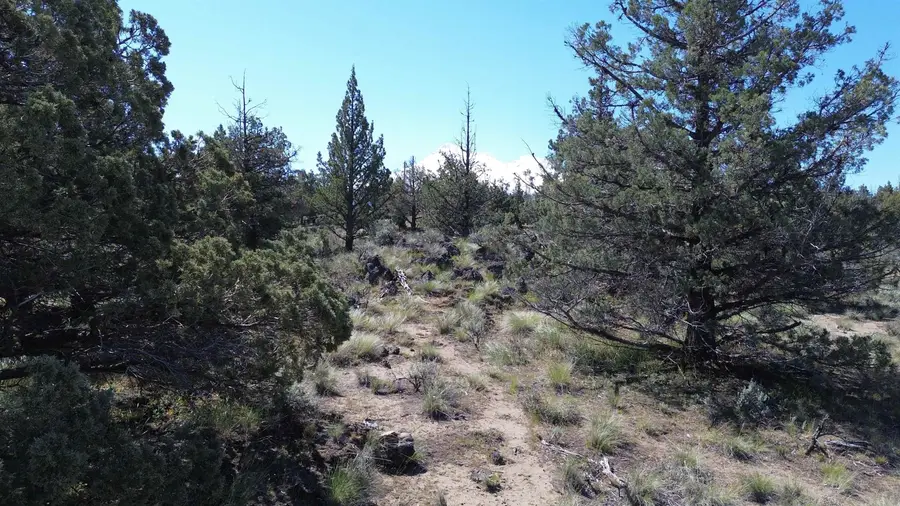 Lot 26 Perla Dr, Montague, CA 96064 - Image #2