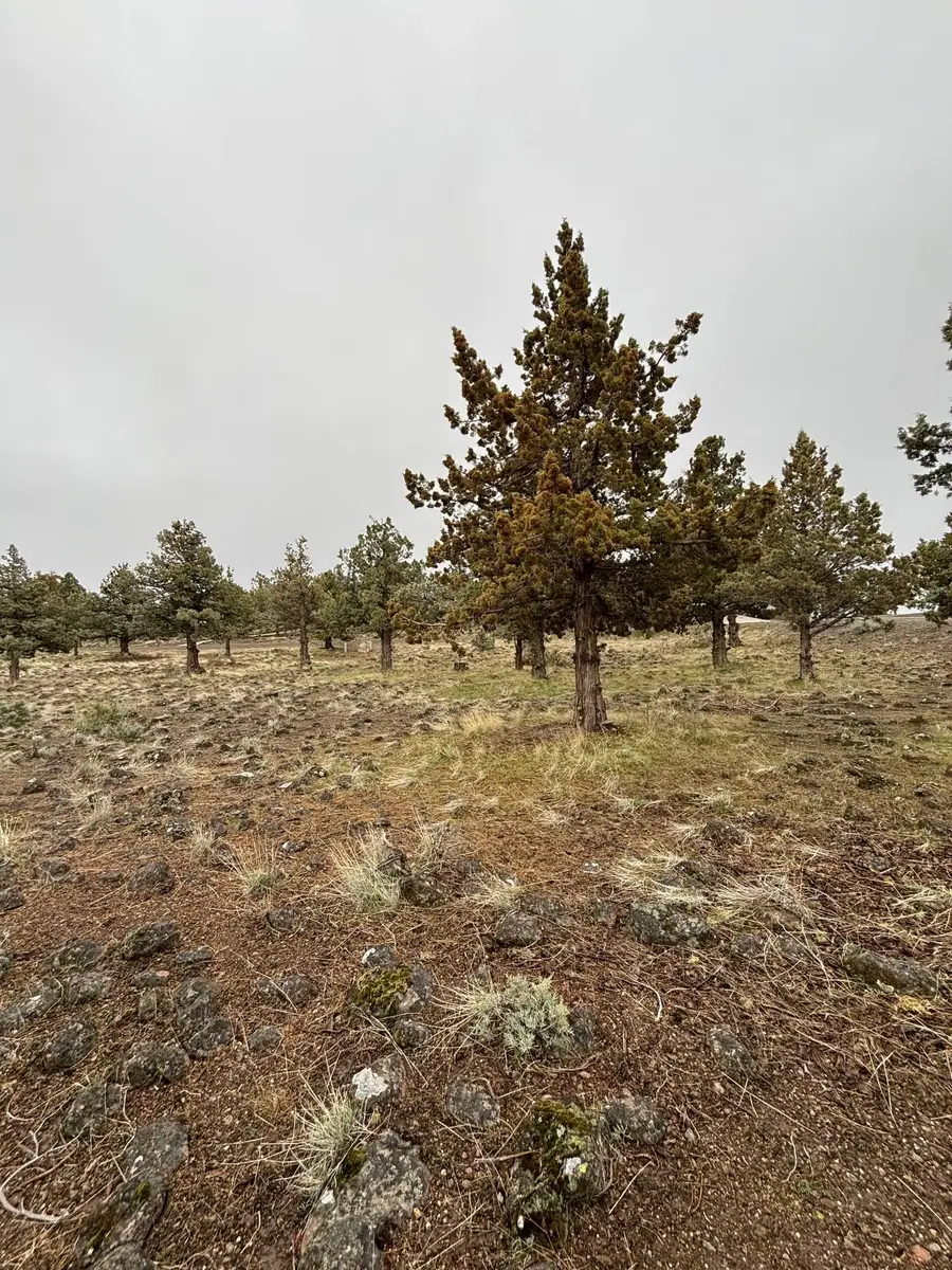 Unit 9-2 Lot 257 Lake Shastina-Quail Ridge, Weed, CA 96094 - Image #2