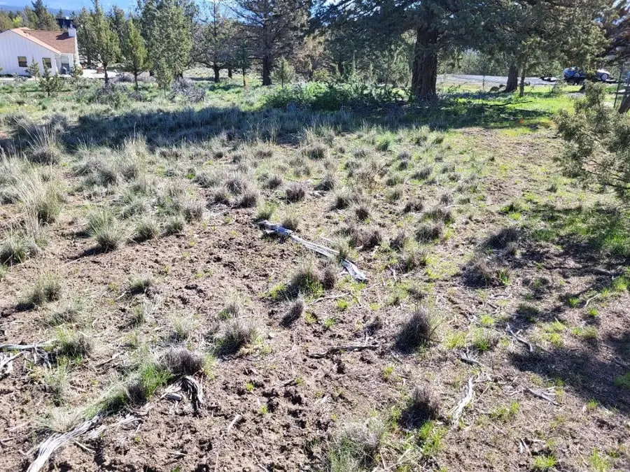 000 Lot 590  Shastina Pl, Weed, CA 96094 - Image #2