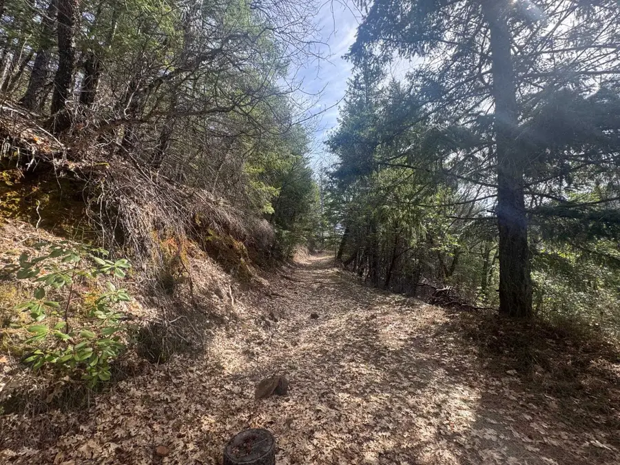 122 Acres Off USFS Road 46N76, Happy Camp, CA 96039 - Image #3