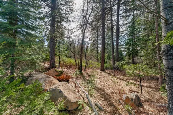 Lot 1 Cold Creek Circle, Mt Shasta, CA 96067
