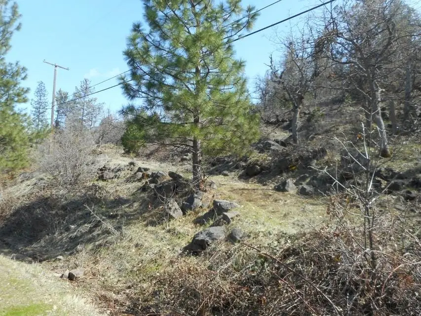 Lot 361 Ager beswick, Montague, CA 96064 - Image #1