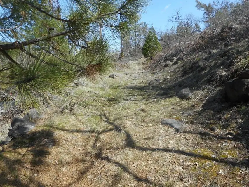 Lot 361 Ager beswick, Montague, CA 96064 - Image #3