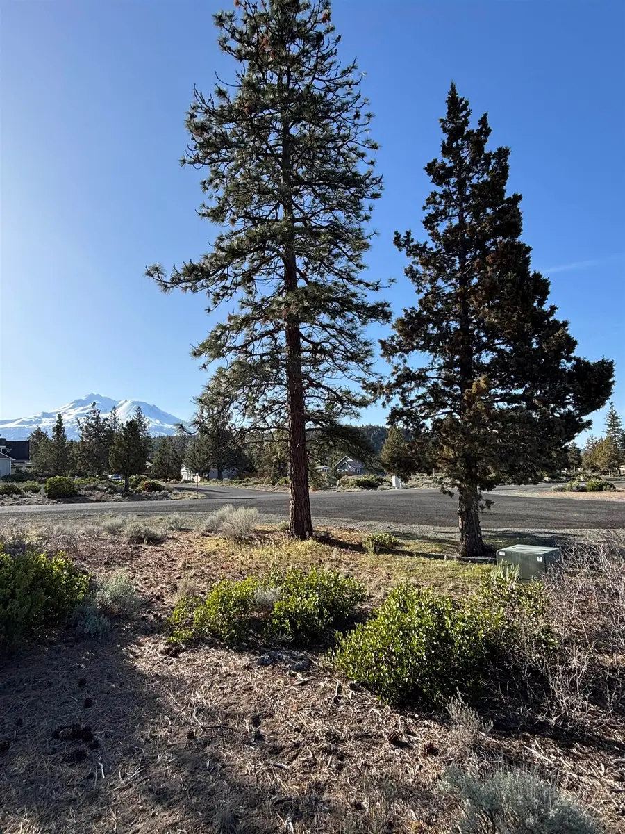 unit 8-1 lot 279 Lake Shastina, Weed, CA 96094 - Image #2