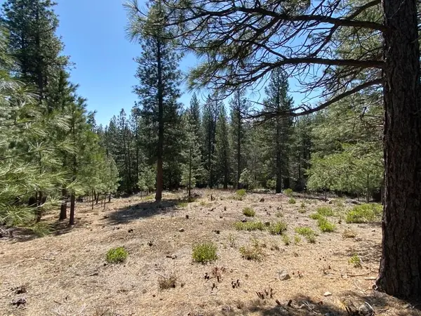 Lot 25 Meadow Ln, Weed, CA 96094