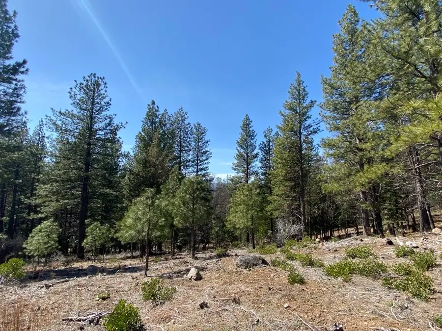 Lot 25 Meadow Ln, Weed, CA 96094 - Image #3